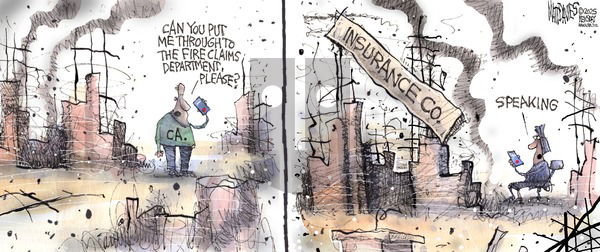 Matt Davies on Sunday January 19, 2025 Comic Strip
