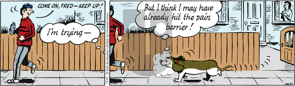 Fred Basset on Thursday December 29, 2016 Comic Strip