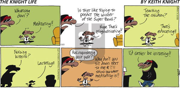 The Knight Life on Sunday December 2, 2012 Comic Strip