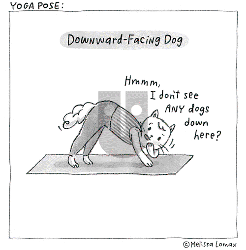 Doodle Town on Monday July 22, 2024 Comic Strip