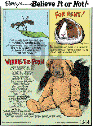 Ripley's Believe It or Not on Monday December 14, 2020 Comic Strip