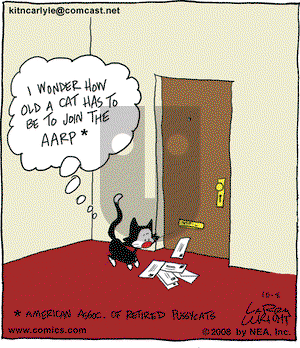 Kit 'N' Carlyle on Wednesday October 8, 2008 Comic Strip