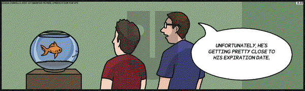 F Minus on Wednesday August 22, 2018 Comic Strip