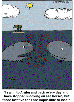 Close to Home on Wednesday December 17, 2025 Comic Strip