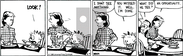 Calvin and Hobbes - Saturday June 9, 1990 Comic Strip