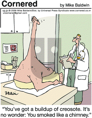 Cornered on Monday November 9, 2009 Comic Strip