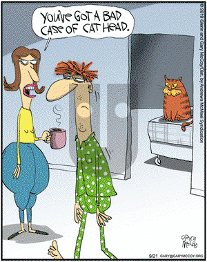 The Flying McCoys on Saturday September 21, 2019 Comic Strip