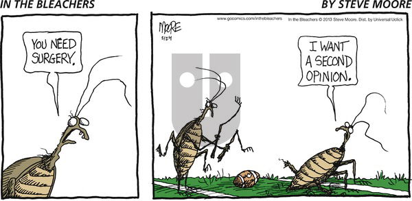 In the Bleachers on Sunday February 24, 2013 Comic Strip