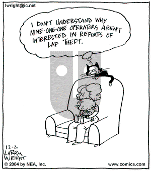 Kit 'N' Carlyle on Thursday December 2, 2004 Comic Strip