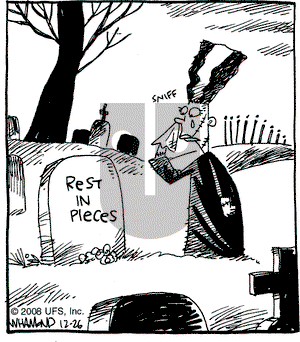 Reality Check on Friday December 26, 2008 Comic Strip