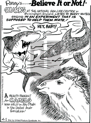 Ripley's Believe It or Not on Monday April 1, 2002 Comic Strip