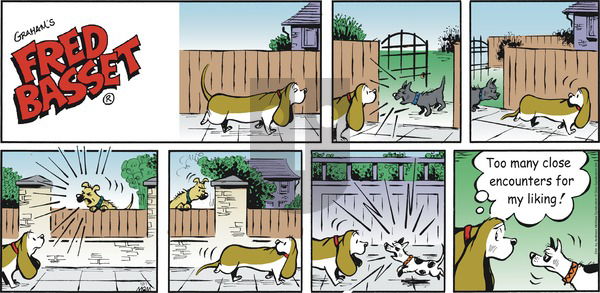 Fred Basset - Sunday December 1, 2019 Comic Strip