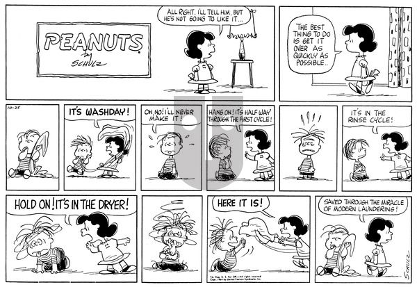 Peanuts on Sunday October 25, 1964 Comic Strip