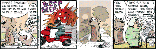 DeFlocked on Saturday June 30, 2012 Comic Strip