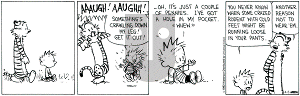 Calvin and Hobbes - Friday April 5, 2013 Comic Strip