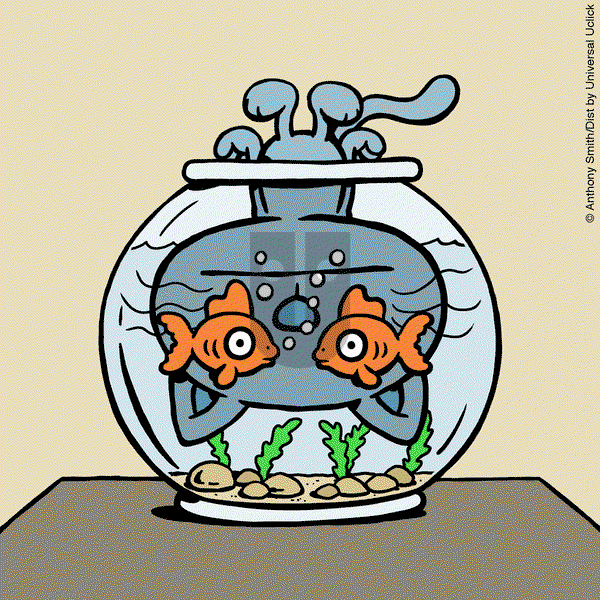 Cattitude — Doggonit on Saturday May 17, 2025 Comic Strip