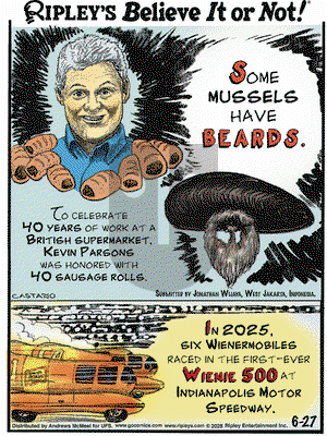 Ripley's Believe It or Not on 2025-06-27 Comic Strip