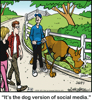 Marmaduke on Monday September 12, 2016 Comic Strip