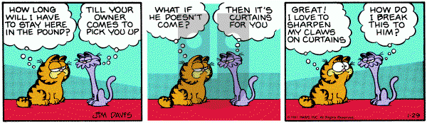 Garfield on Thursday January 29, 1981 Comic Strip
