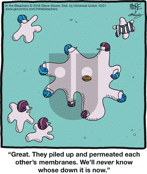 In the Bleachers on Wednesday December 21, 2016 Comic Strip