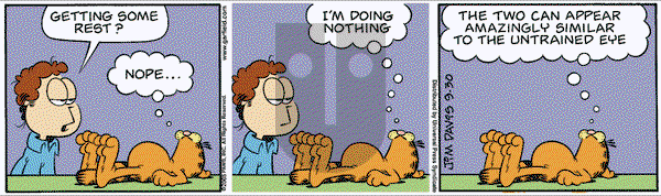 Garfield on Friday September 30, 2005 Comic Strip