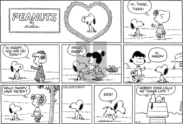 Peanuts - Sunday February 14, 1965 Comic Strip