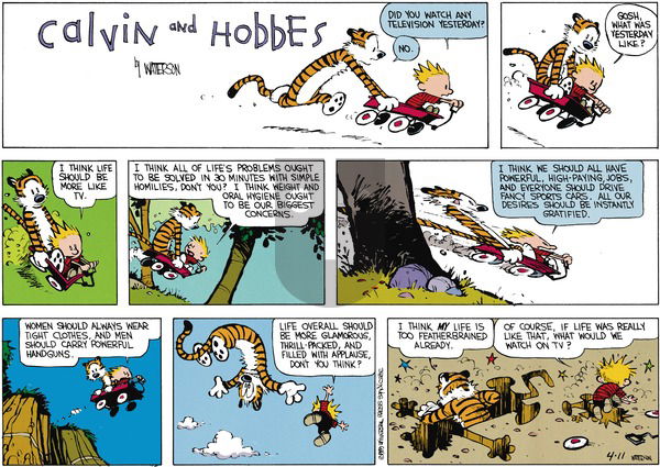 Calvin and Hobbes on Sunday May 28, 1989 Comic Strip