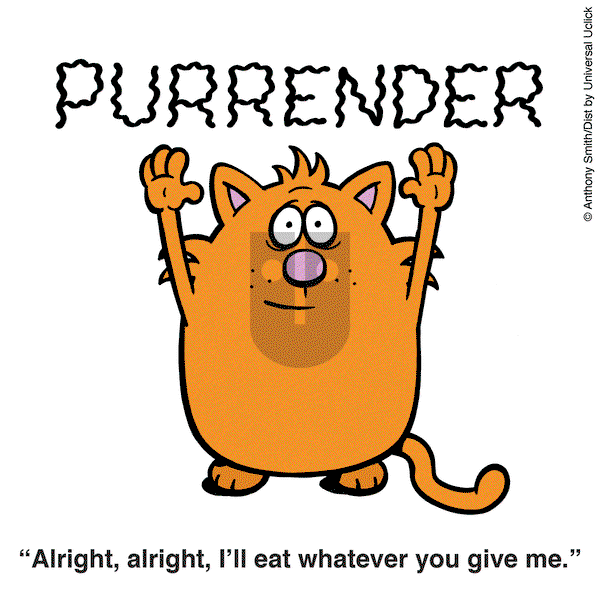 Learn to Speak Cat on Thursday June 12, 2025 Comic Strip