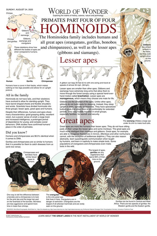 World of Wonder on Sunday August 24, 2025 Comic Strip