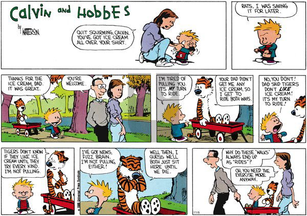 Calvin and Hobbes - Sunday November 6, 2011 Comic Strip