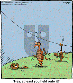 In the Bleachers on Tuesday May 7, 2019 Comic Strip