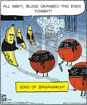 Brevity on Wednesday February 19, 2014 Comic Strip