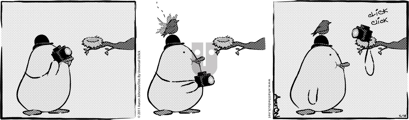 W.T. Duck - Sunday November 5, 2023 Comic Strip