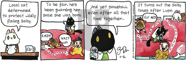 Breaking Cat News on Thursday January 2, 2020 Comic Strip