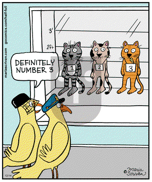Half Full - Saturday December 14, 2013 Comic Strip