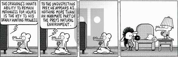 Pearls Before Swine on Monday August 6, 2007 Comic Strip