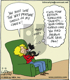 Kit 'N' Carlyle on Tuesday May 26, 2009 Comic Strip