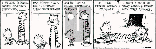 Calvin and Hobbes - Friday May 28, 1993 Comic Strip
