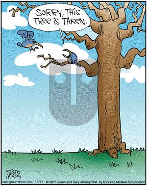 The Flying McCoys on Saturday November 11, 2017 Comic Strip