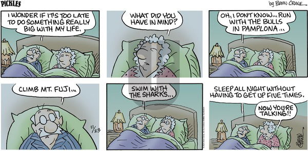 Pickles on Sunday November 23, 2025 Comic Strip