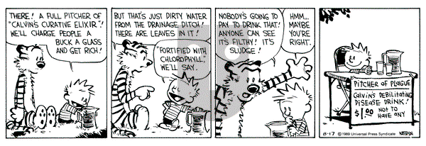 Calvin and Hobbes on Thursday August 17, 1989 Comic Strip