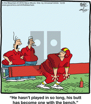 In the Bleachers on Thursday December 29, 2016 Comic Strip