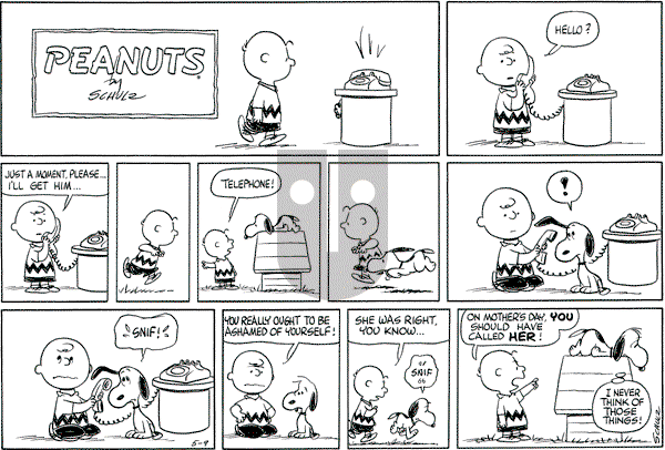 Peanuts - Sunday May 9, 1965 Comic Strip