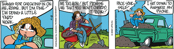 Rose is Rose on Wednesday April 8, 2020 Comic Strip