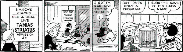 Nancy Classics on Thursday May 8, 2025 Comic Strip