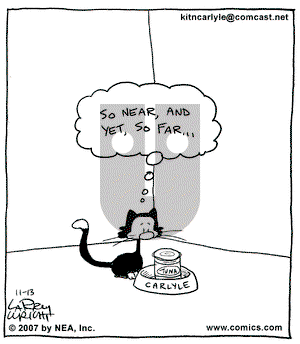 Kit 'N' Carlyle on Tuesday November 13, 2007 Comic Strip