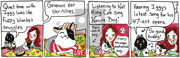 Breaking Cat News - Friday August 30, 2024 Comic Strip
