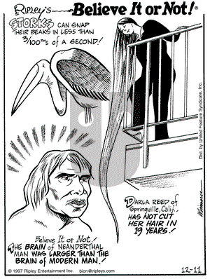 Ripley's Believe It or Not on Thursday December 11, 1997 Comic Strip