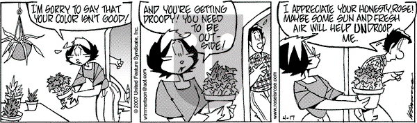 Rose is Rose on Tuesday April 17, 2007 Comic Strip