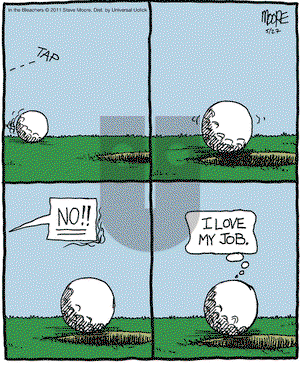 In the Bleachers on Friday May 27, 2011 Comic Strip
